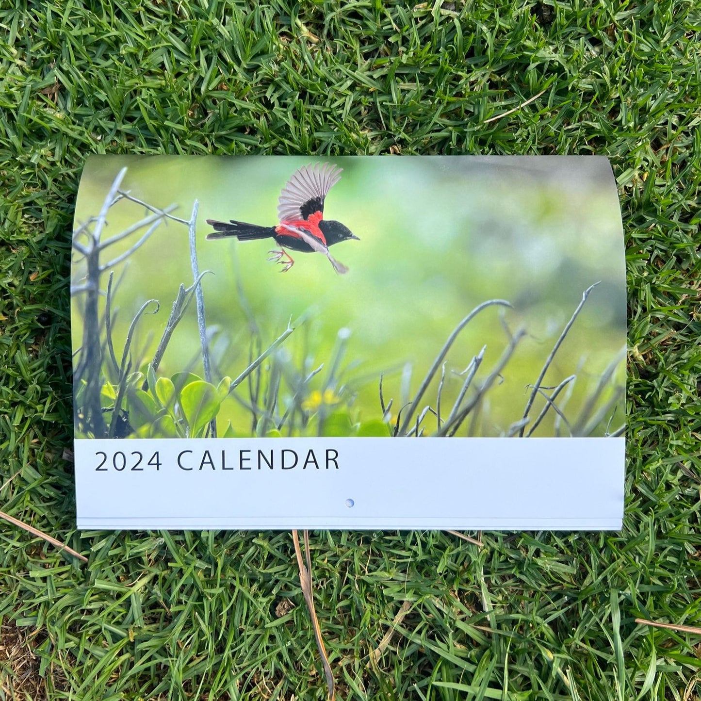 Calendar for Wildlife