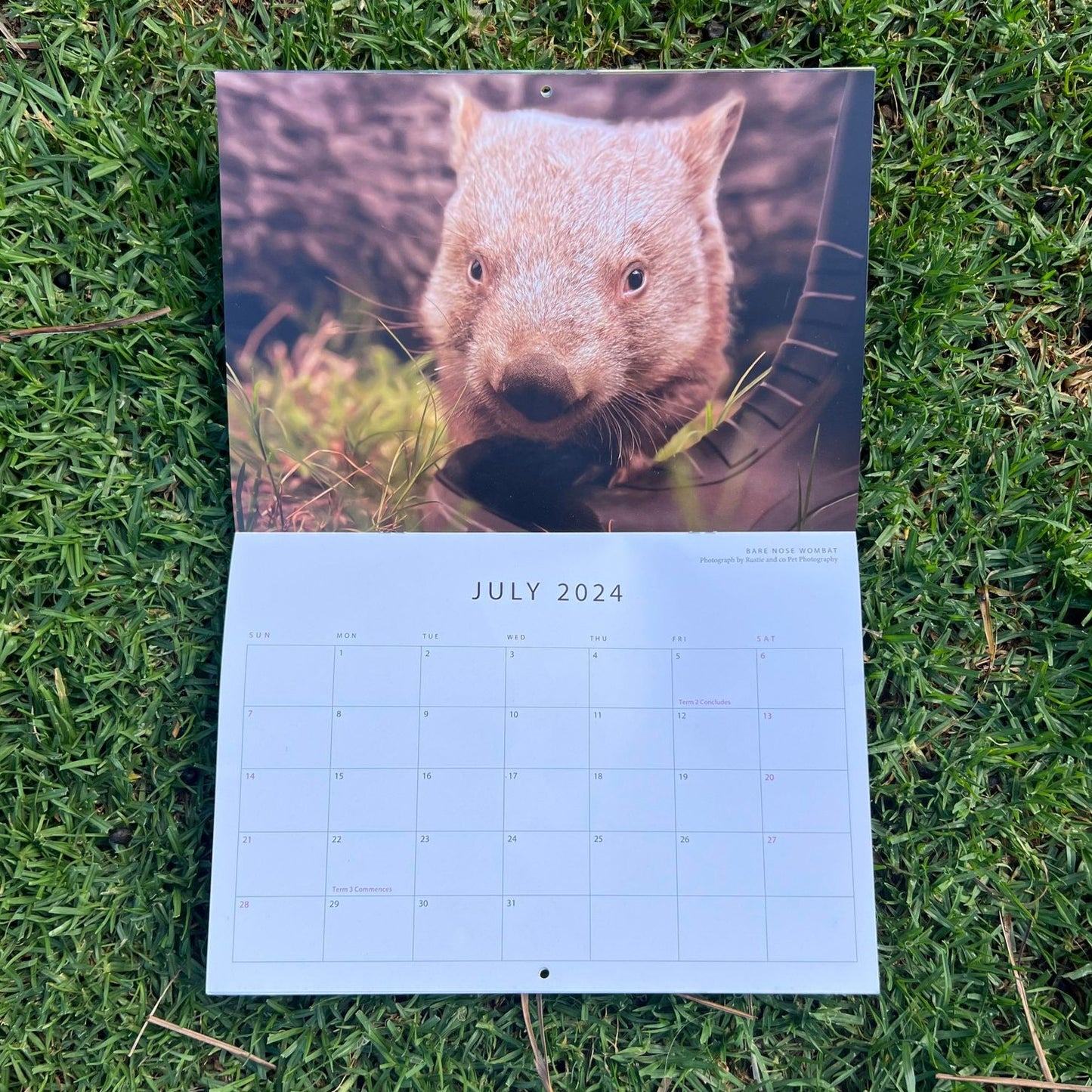 Calendar for Wildlife