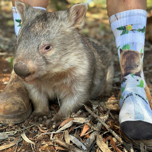 Barty the Wombat Socks