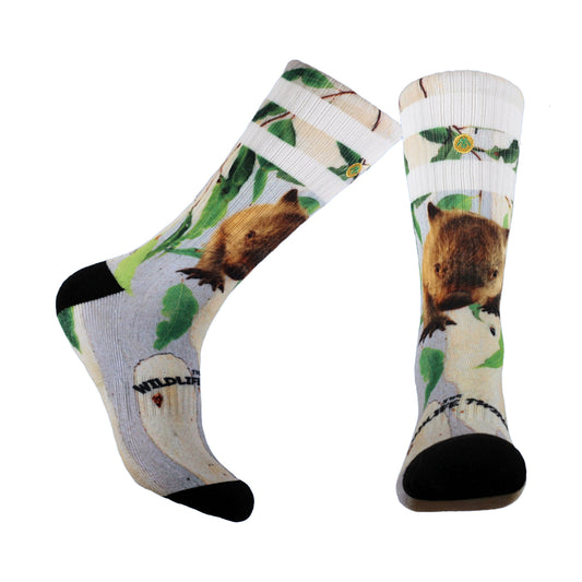 Barty the Wombat Socks